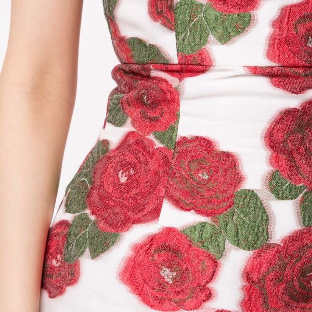 Bambah Roses Ruffle Dress - Picture 6 of 6